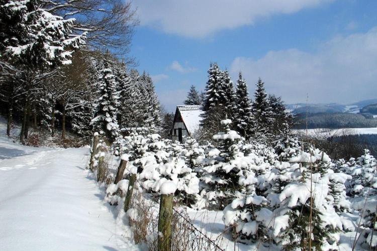 Cosy Apartment In Menkhausen Near The Ski Area Schmallenberg Ngoại thất bức ảnh