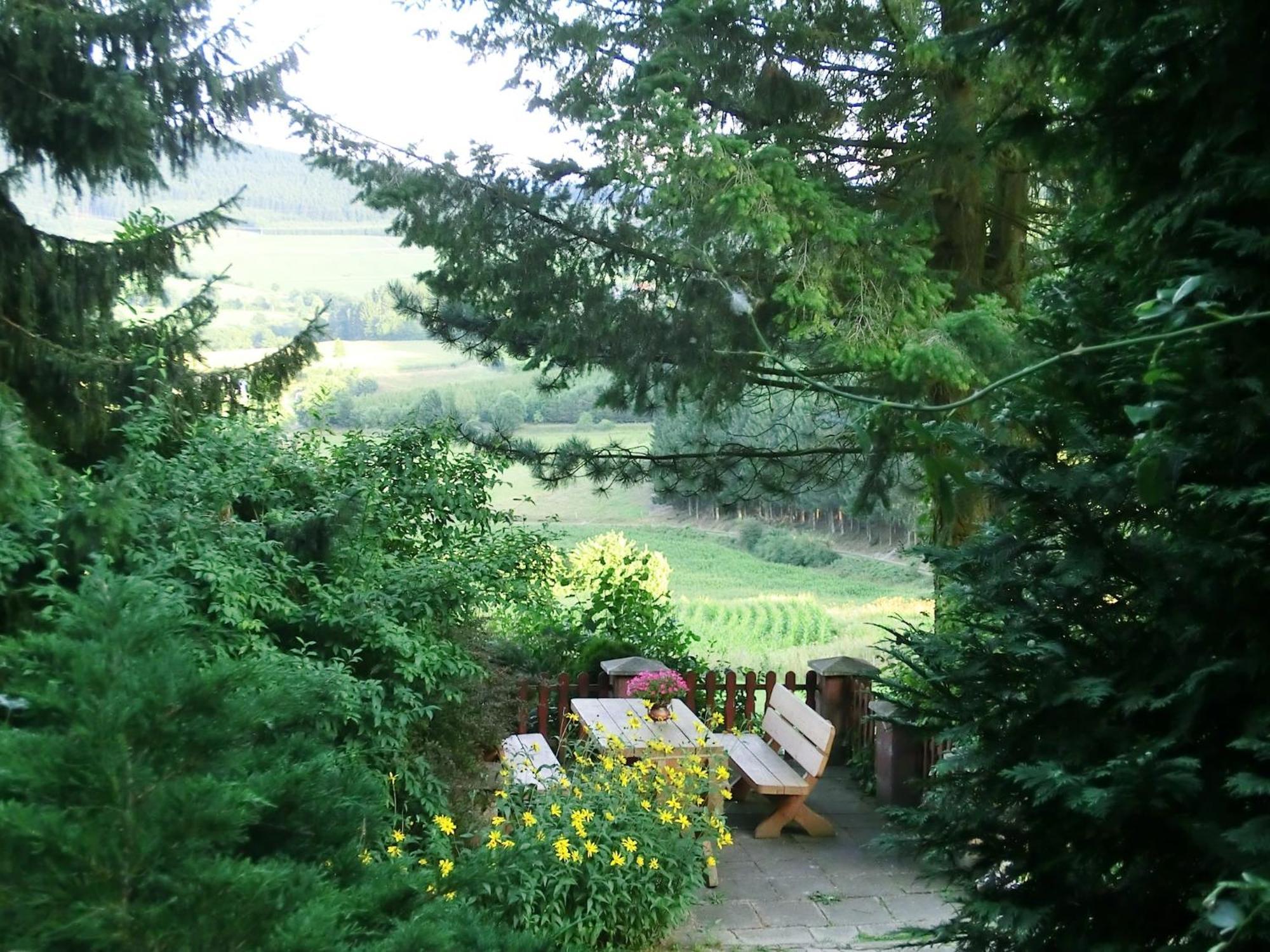 Cosy Apartment In Menkhausen Near The Ski Area Schmallenberg Ngoại thất bức ảnh